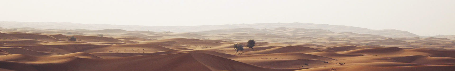 ӢϿƼչ޹˾